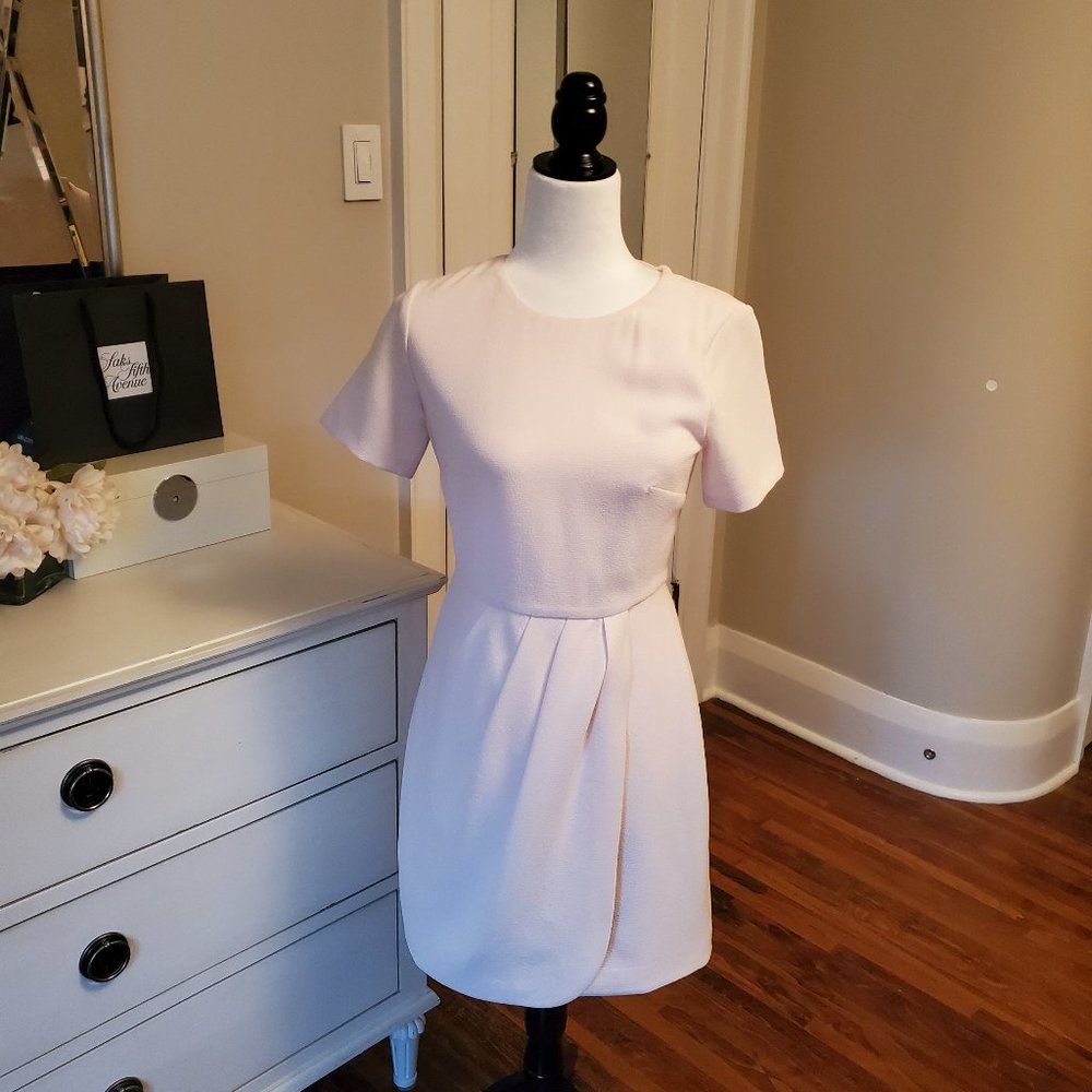 Club Monaco blush pink dress